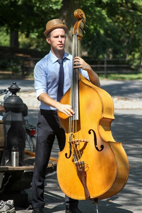 bildet musiker musikk instrument fiolin bassist cello gitarist