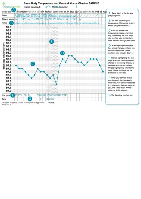 Basal Body Temperature And Cervical Mucus Chart Sample Printable Pdf Download