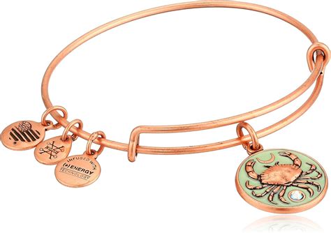 Amazon Alex And Ani Women S Color Infusion Crab Charm Bangle