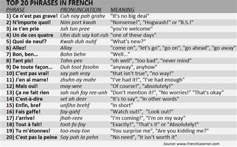 Top Phrases In French Useful French Phrases Basic French Words