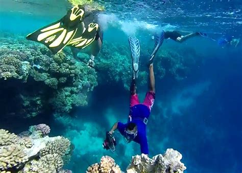 Snorkeling Trip Red Sea At Hamata Islands From Marsa Alam Trip Chanel