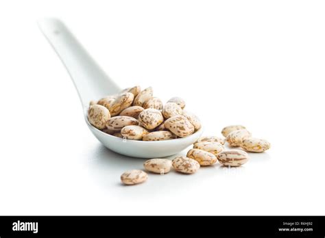 Dried Borlotti Beans Stock Photo Alamy