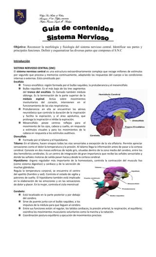 Contenidos Snc Pdf