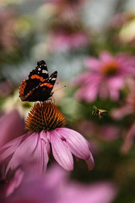 Canary Wharf In Focus Amateur Photography Competition Winner Announced