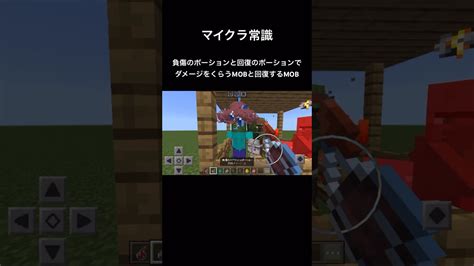 負傷のポーションと回復のポーションでダメージをくらうmobと回復するmob マイクラ Minecraft マインクラフト マイクラ（minecraft）動画まとめ