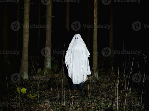 Funny ghost in a dark forest. Dark fantasy concept . Of a mysterious ...