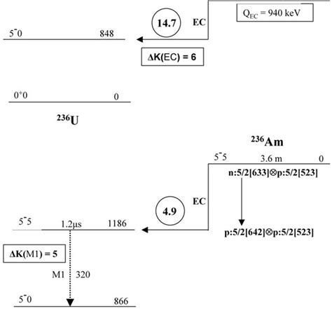 Uranium 236 Decay Equation - Tessshebaylo