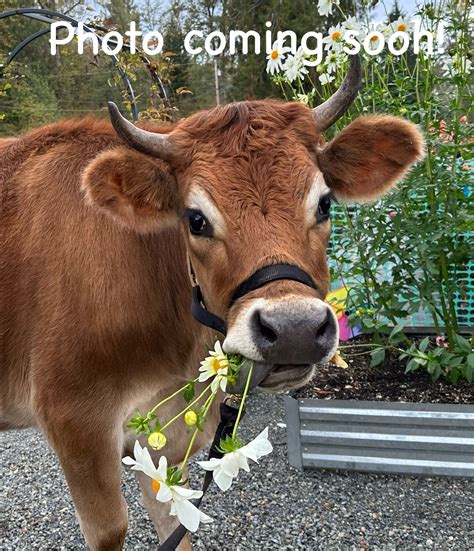 We explain the heritage of the Leonard Funeral Home Dubuque site 25