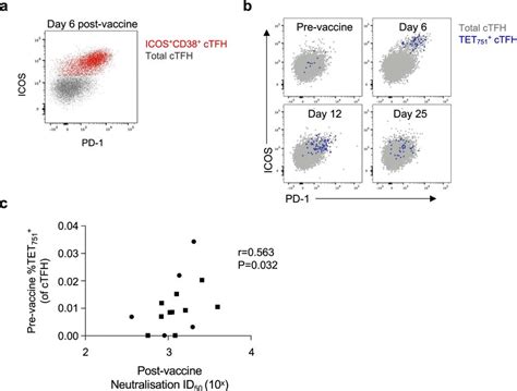 Ctfh Responses Following Immune Recall A Representative Staining Of