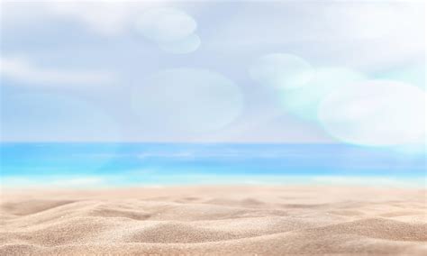 Alvin S Hot Sauce New York City NY Miami FL Scotch Bonnet Pepper Sauce