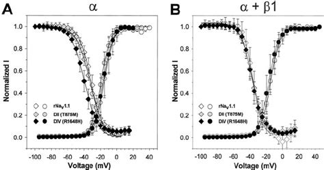 Voltage Dependence Of Activation And Steady State Inactivation For