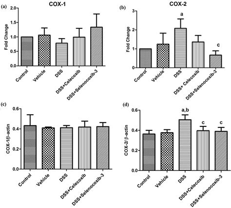 Ad Gene And Protein Expression Of Cox And Cox Respectively The