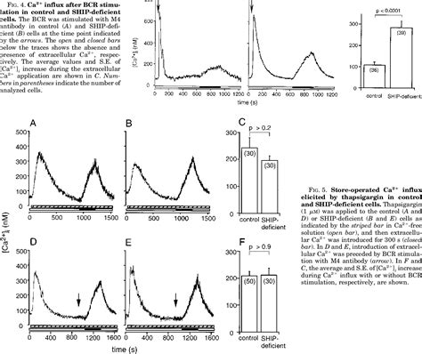 Figure From Inhibitory Modulation Of B Cell Receptor Mediated Ca