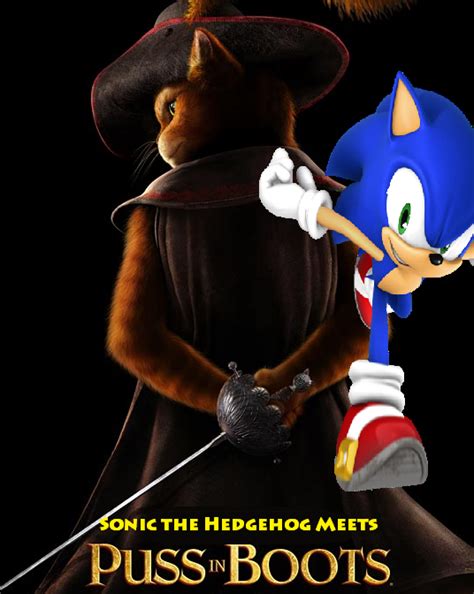 Sonic The Hedgehog Meets Puss In Boots Sonics Adventure Wiki Fandom