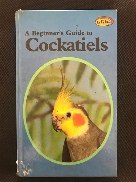 tips for cockatiel overweight for beginners 5