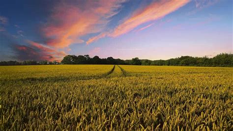 Qu Es El Yield Farming