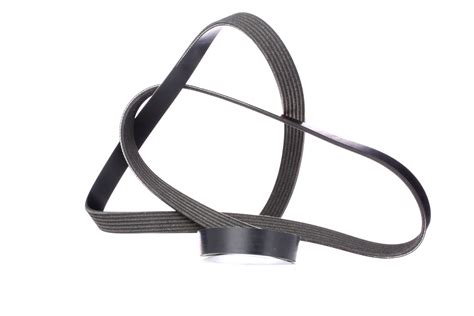 6PK2080 CONTITECH 6 PK 2080 Serpentine belt 2080mm, 6 AUTODOC price and ...