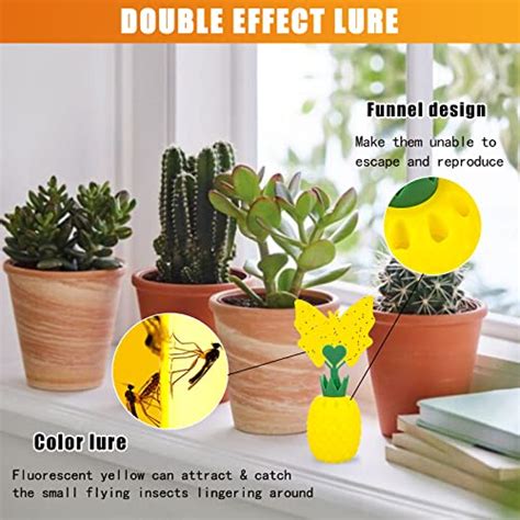 Heyouou Fruit Fly Traps With Sticky Pads Fruit Flies Gnat Killer For Plant Indoor Outdoorfly