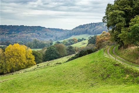 Forge Valley Walk Forge Valley Woods North Yorkshire Walks