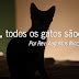 À noite todos os gatos são pardos Bereianos Apologética e Teologia