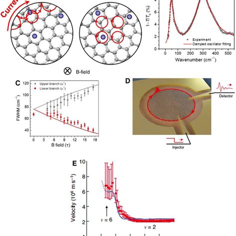 Mid Ir Localized Plasmons In Graphene A Sem Image Of A Graphene Download Scientific Diagram