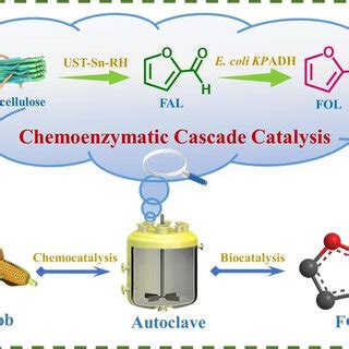 A Chemoenzymatic Cascade Strategy For Synthesis Of Furfuryl Alcohol