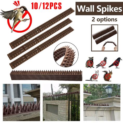 10 12Pcs Wall Spikes Anti Birds Thorns Garden Security Intruder