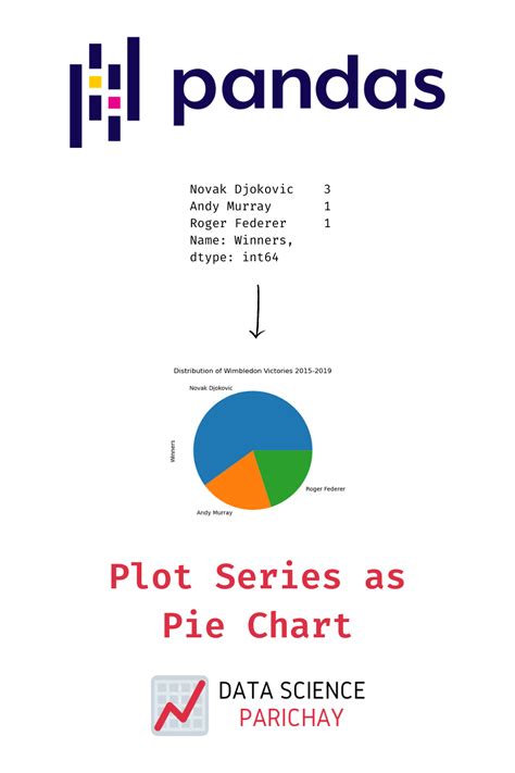 Create A Pie Chart Of Pandas Series Values Pie Chart Chart Data Science Hot Sex Picture