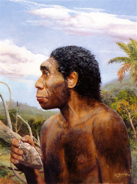 Homo erectus, Pictorial art, Zdenek Burian HD Phone Wallpaper | Rare ...