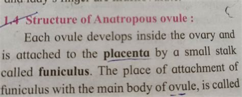 structure  anatropous ovule  ovule develops   ovary