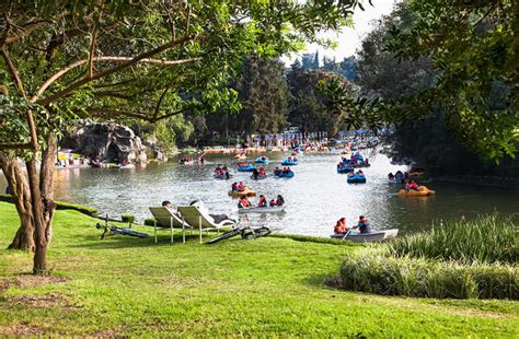 Chilango Picnic En Plena Ciudad Te Decimos Qué Comer Y Dónde Hacerlo