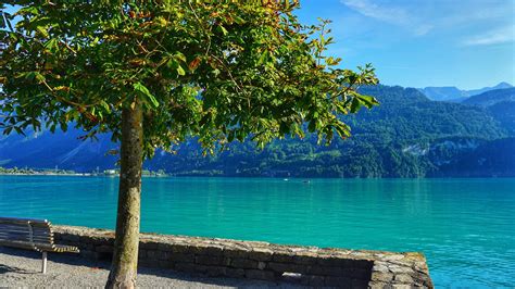 Top 3 Places To Visit On Lake Brienz Switzerland