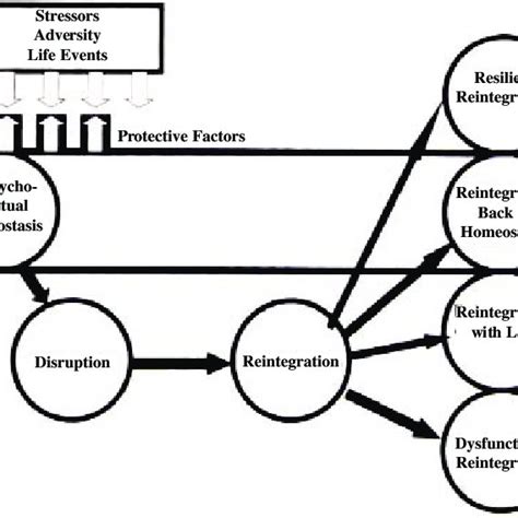 Resiliency Model Adapted From Richardson 2002 Download Scientific Diagram