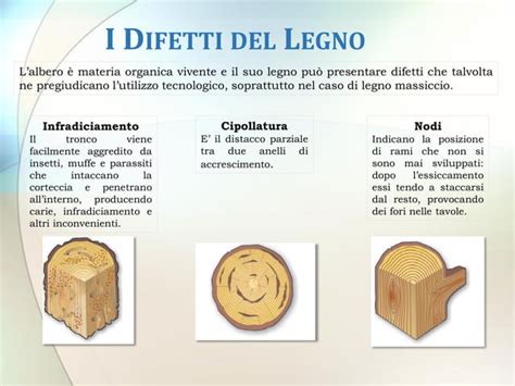 I Difetti Del Legno Ppt