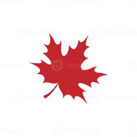 evergreen leaf illustration png leaf silhouette png leaves png