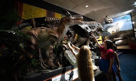 National Dinosaur Museum attraction guide - Holidays with Kids