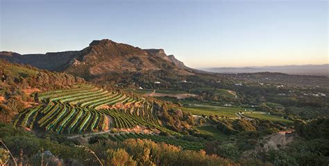 Best Wine Tasting Cape Town Full Day Tour - Cape Town - South Africa