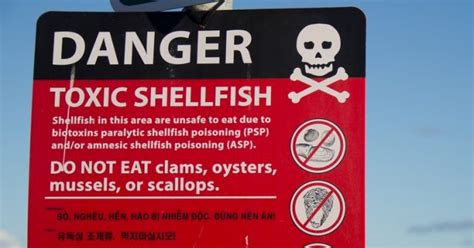 Paralytic Shellfish Poison Closure Issued Within Grays Harbor Kxro