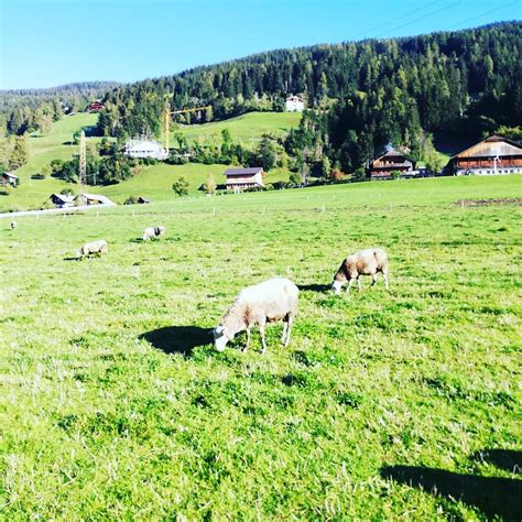 Pista Ciclabile San Candido Lienz Giri In Giro Agenzia Viaggi