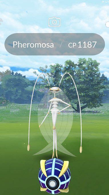 The best moveset for Pheromosa in Pokemon GO