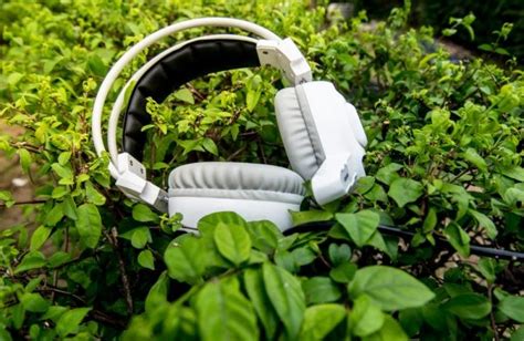 Playing Music To Your Plants Can Be Beneficial The Wellness Project