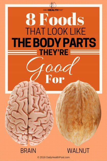 Foods That Look Like The Body Parts They Re Good For