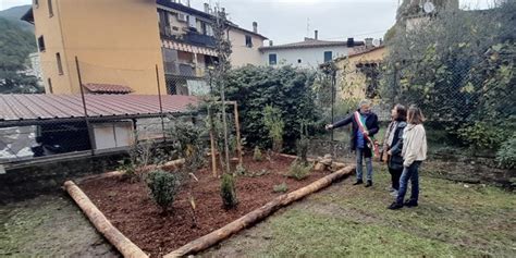 Valdisieve Rufina Inaugurato Alla Scuola Falcone Il Bosco Didattico