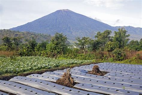 Indonesian volcano with 'deadliest eruption' in last millennium tipped to boil over - World News ...