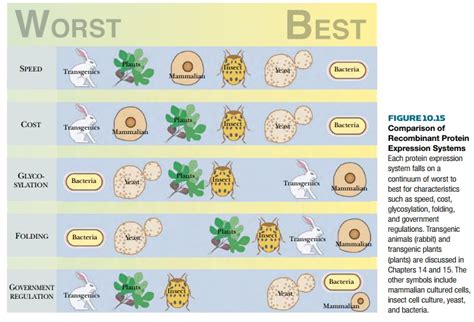 Comparing Expression Systems