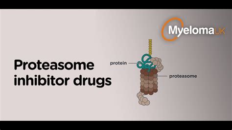 Proteasome Inhibitor Mechanism Of Action