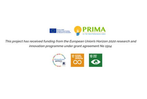 azmud improvement  mediterranean greenhouses performance