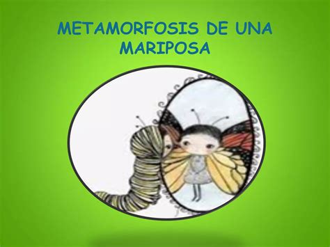 Metamorfosis De Una Mariposa PPT