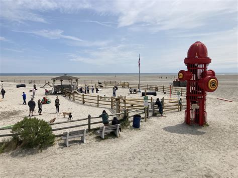 Wildwood Dog Park & Beach - INWILDWOOD