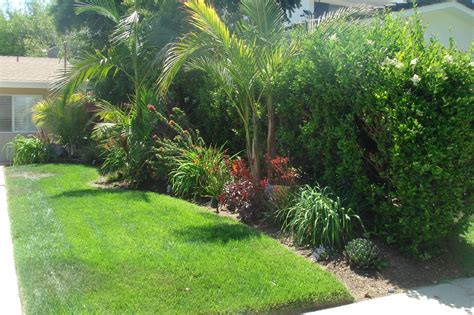 10+ Awesome Ideas How to Make Small Tropical Backyard Ideas - Simphome